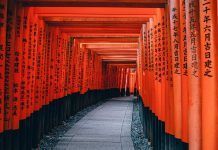 El Centro Cultural Hispano Japonés abre la matrícula para el curso “Japonés para viajeros” El Centro Hispano-Japonés abre matrícula para cursos de Lengua Japonesa. Curso Japonés Salamanca