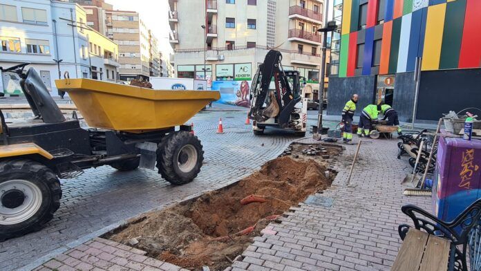 Plaza del Oeste Salamanca árboles nuevos