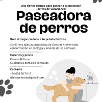 Paseo/Cuido perritos en verano